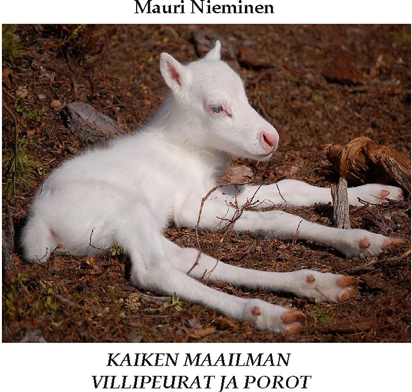 Kaiken maailman villipeurat ja porot