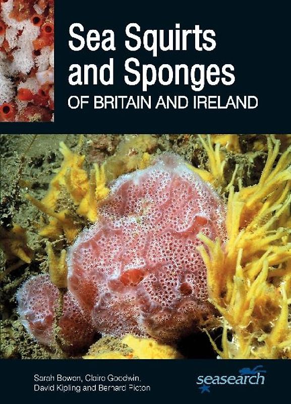 Sea Squirts and Sea Sponges of Britain and Ireland