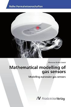 Mathematical modelling of gas sensors