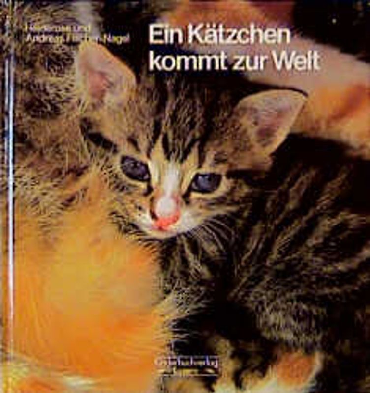 Ein Kätzchen kommt zur Welt