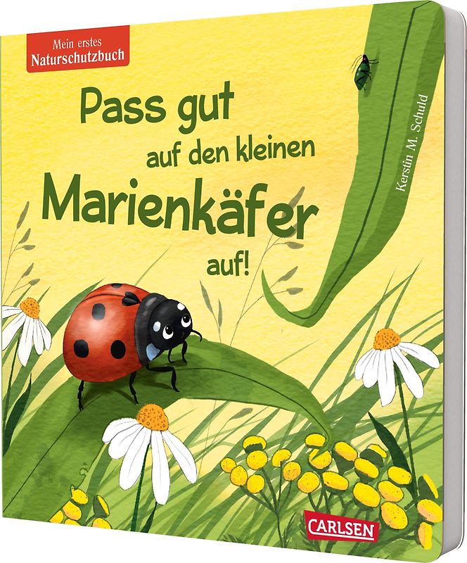 Pass gut auf den kleinen Marienkäfer auf