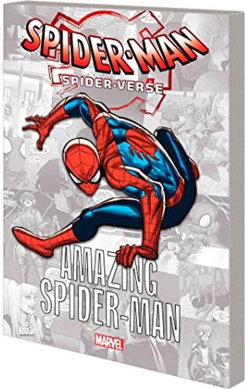 Spider-Man: Spider-Verse - Amazing Spider-Man