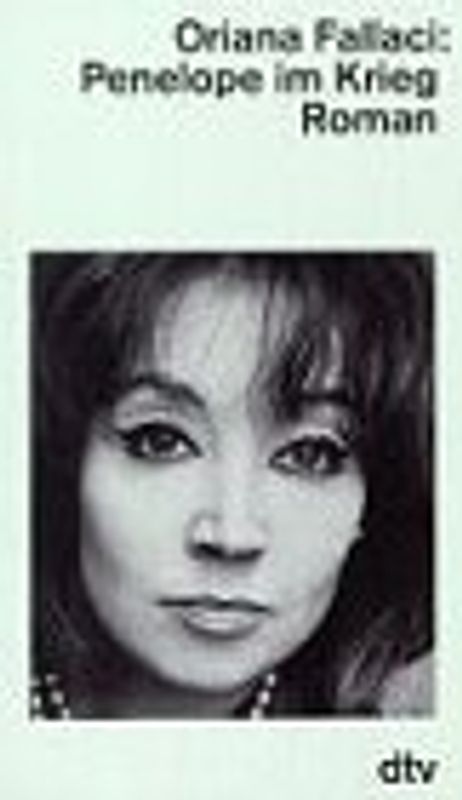 Penelope im Krieg. Roman