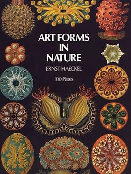 Art Forms in Nature