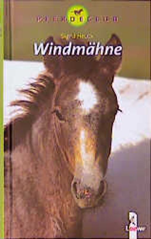 Windmähne