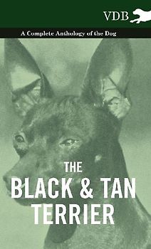 The Black and Tan Terrier - A Complete Anthology of the Dog -