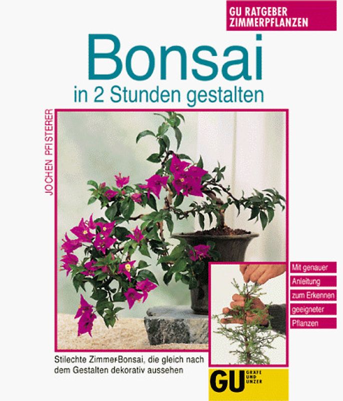 Bonsai in 2 Stunden gestalten. Stilechte Zimmer-Bonsai, die gleich nach dem Gestalten dekorativ aussehen. Mit genauer Anleitung zum Erkennen geeigneter Pflanzen