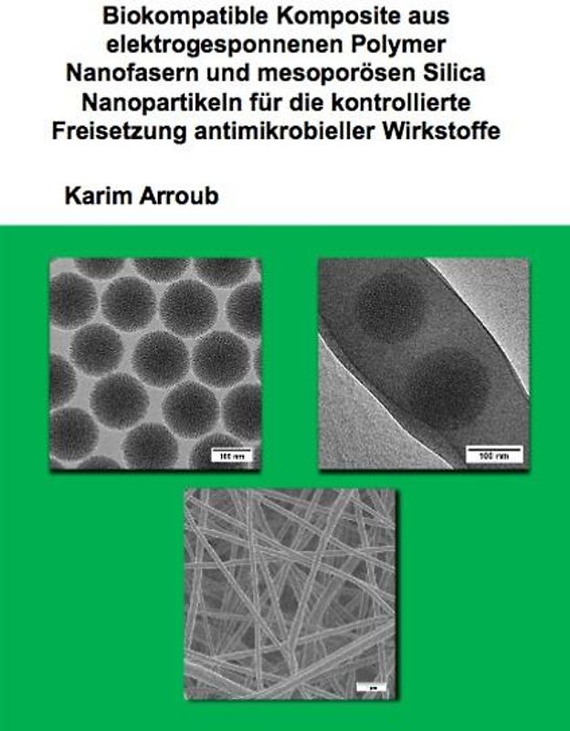 Biokompatible Komposite aus elektrogesponnenen Polymer Nanofasern und mesoporösen Silica Nanopartikeln für die kontrollierte Freisetzung antimikrobieller Wirkstoffe