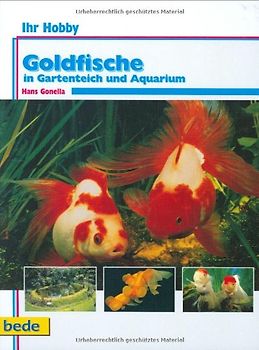 Ihr Hobby Goldfische im Gartenteich und Aquarium