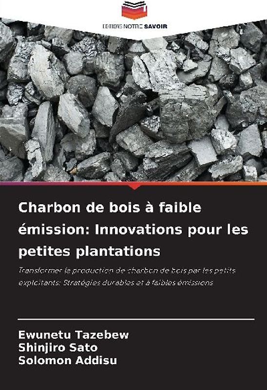 Charbon de bois à faible émission: Innovations pour les petites plantations