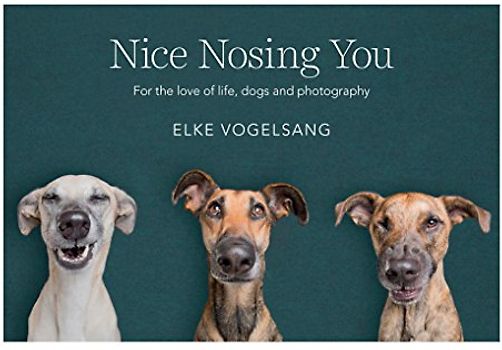 Nice Nosing You: For the Love of Life, Dogs and Photography - Vogelsang, Elke