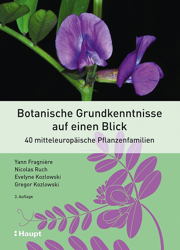 Botanische Grundkenntnisse auf einen Blick