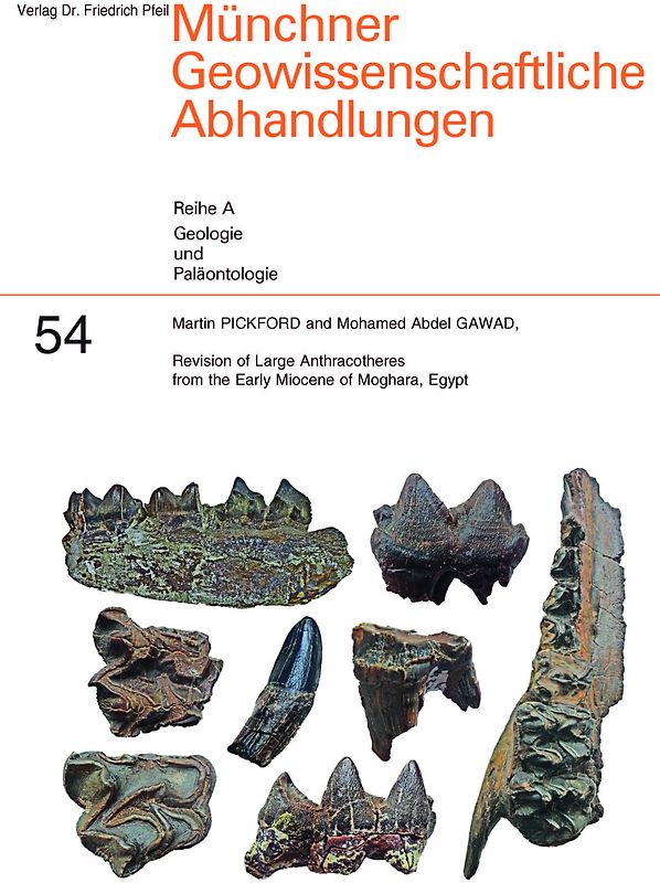 Revision of Large Anthracotheres from the Early Miocene of Moghara, Egypt