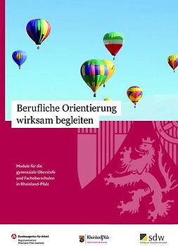 Berufliche Orientierung wirksam begleiten