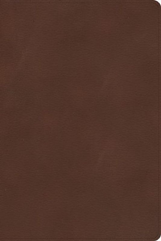 CSB Rainbow Study Bible, Brown Leathertouch