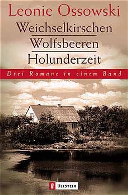 Weichselkirschen /Wolfsbeeren /Holunderzeit
