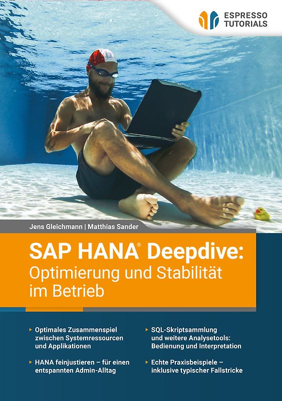 SAP HANA Deepdive: Optimierung und Stabilität im Betrieb