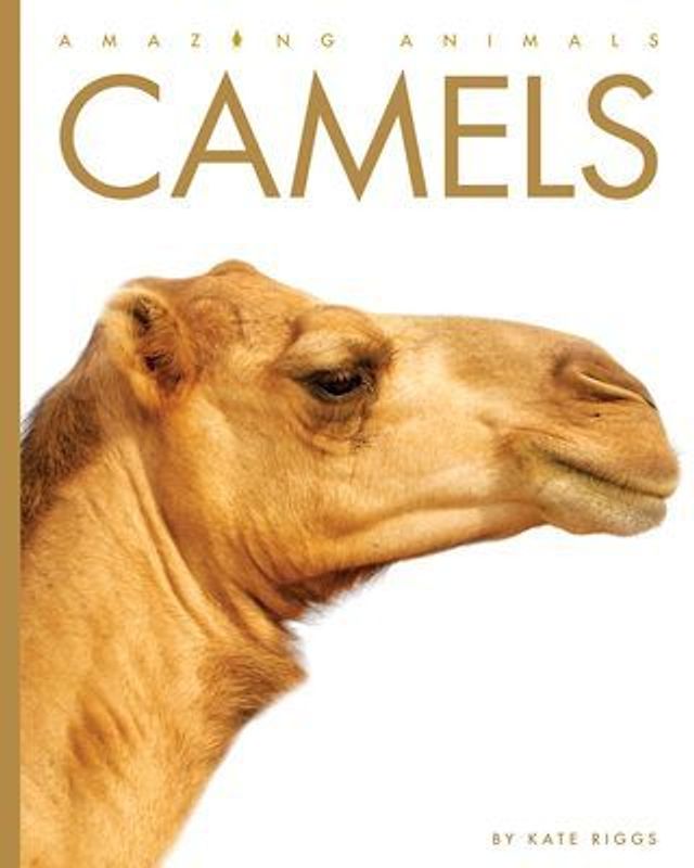 Camels