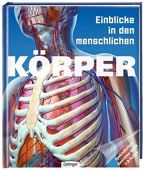 Einblicke in den menschlichen Körper