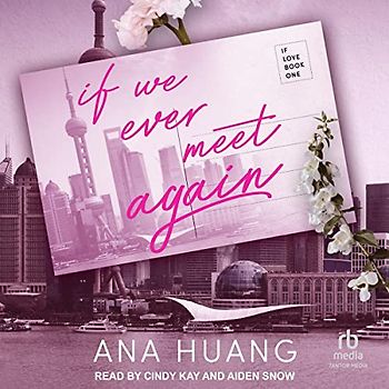 If We Ever Meet Again