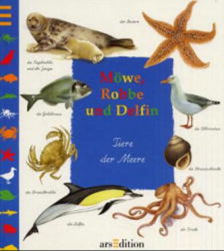 Möwe, Robbe und Delphin