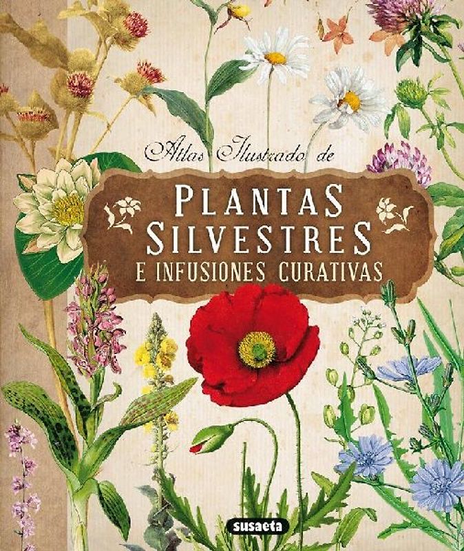 Plantas silvestres con infusiones y tisanas