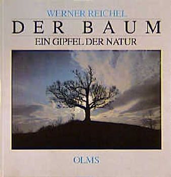 Der Baum - Ein Gipfel der Natur