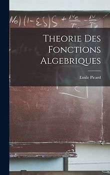 Theorie Des Fonctions Algebriques