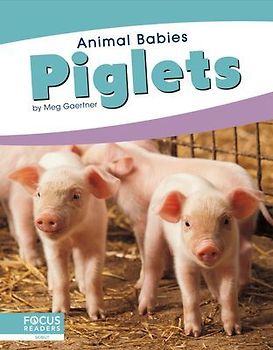 Piglets