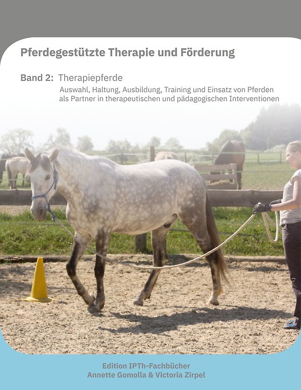 Pferdegestützte Therapie und Förderung
