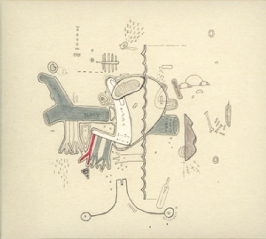 Various - Tiny Changes:A Celebration of Frightened Rabbit's