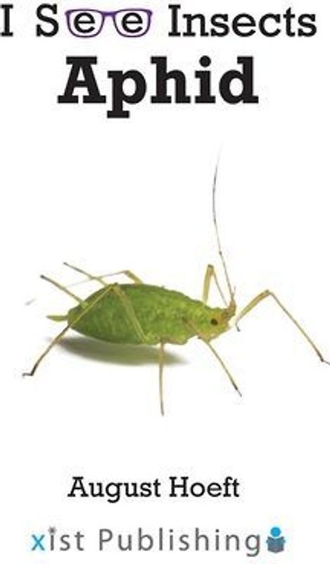 Aphid