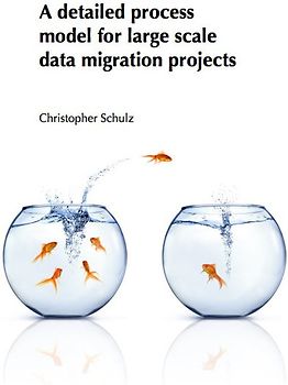 A detailed process model for large scale data migration projects