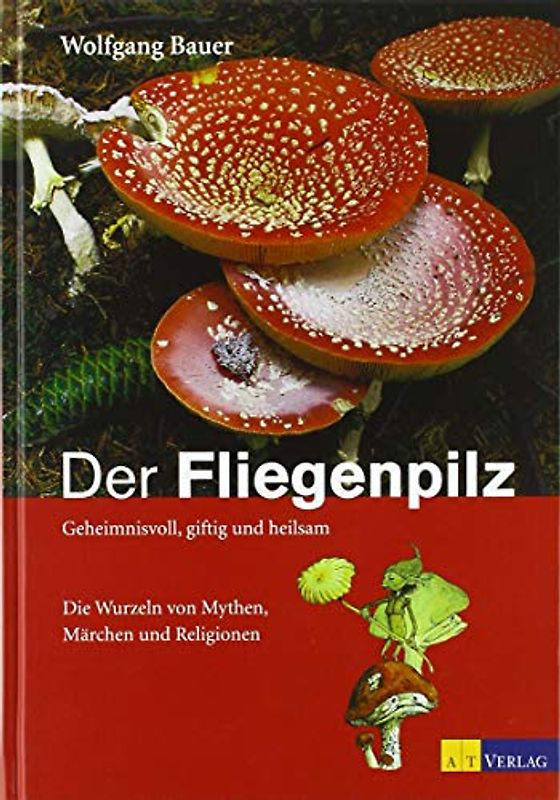 Der Fliegenpilz