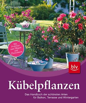 Kübelpflanzen