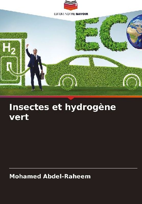 Insectes et hydrogène vert