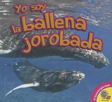 Yo Soy la Ballena Jorobada