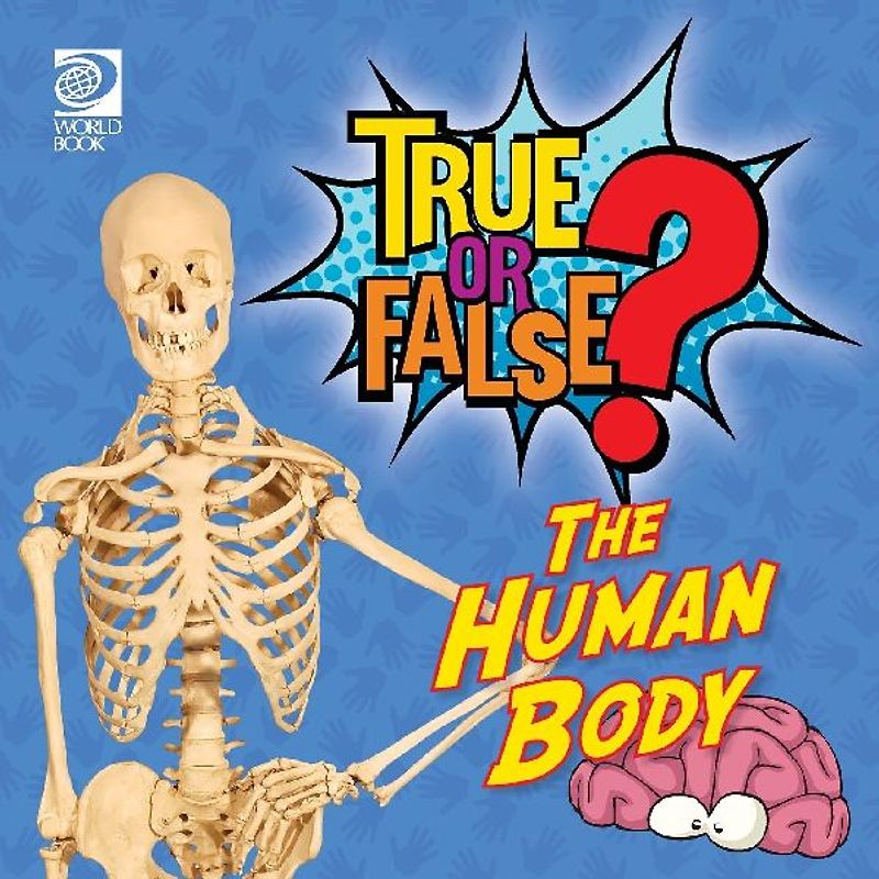 True or False? The Human Body