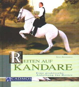 Reiten auf Kandare