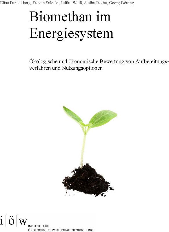 Biomethan im Energiesystem.