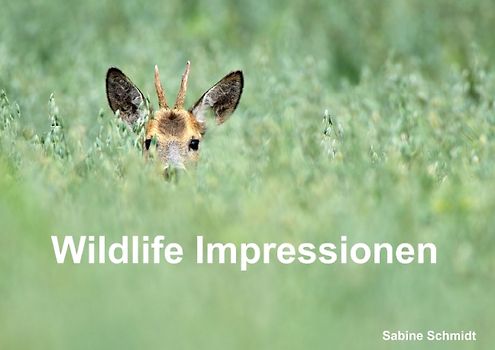 Wildlife Impressionen (Posterbuch DIN A4 quer)