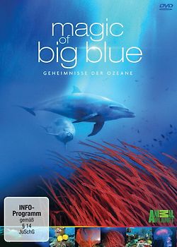 Magic of Big Blue - Geheimnisse der Ozeane [3 DVDs] DVD