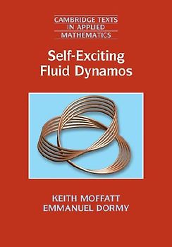 Self-Exciting Fluid Dynamos