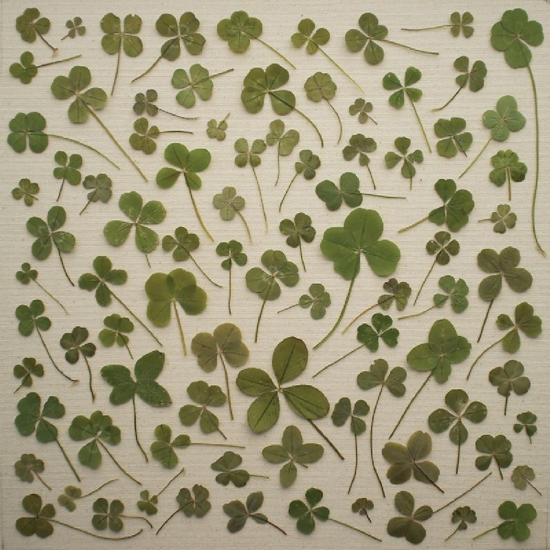 Moore,Daniel Martin - Turned Over To Dreams