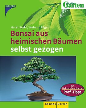 Bonsai aus heimischen Bäumen selbst gezogen