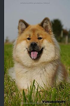 Vokabelheft: Vokabeln lernen mit System - 2 Spalten inkl. Kontrollkästchen | universal für alle Sprachen | 100 Seiten - A5 | Motiv: Hund