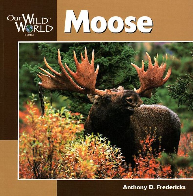 Moose -OSI