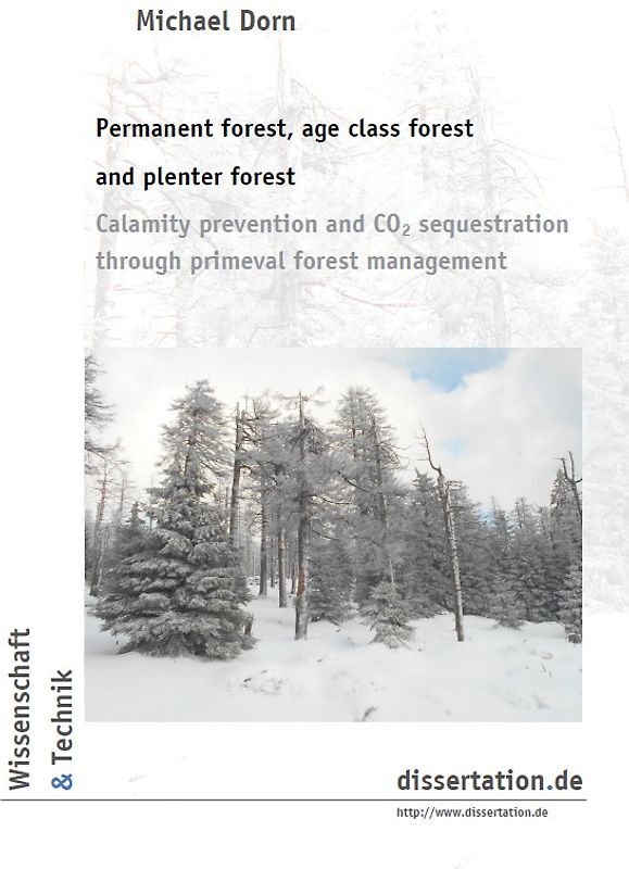 Permanent forest, age class forest and plenter forest