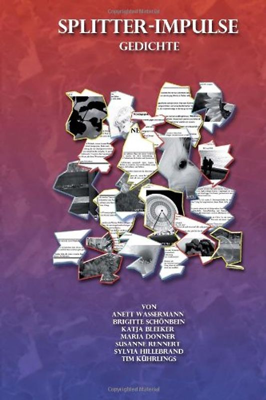 Splitter-Impulse Gedichte - Donner, Maria