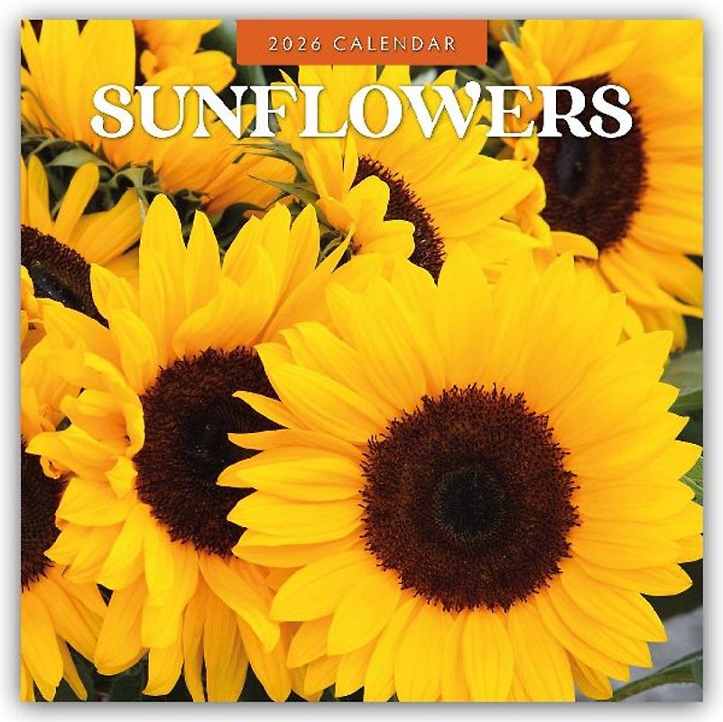 Sunflowers 2026 Square Wall Calendar